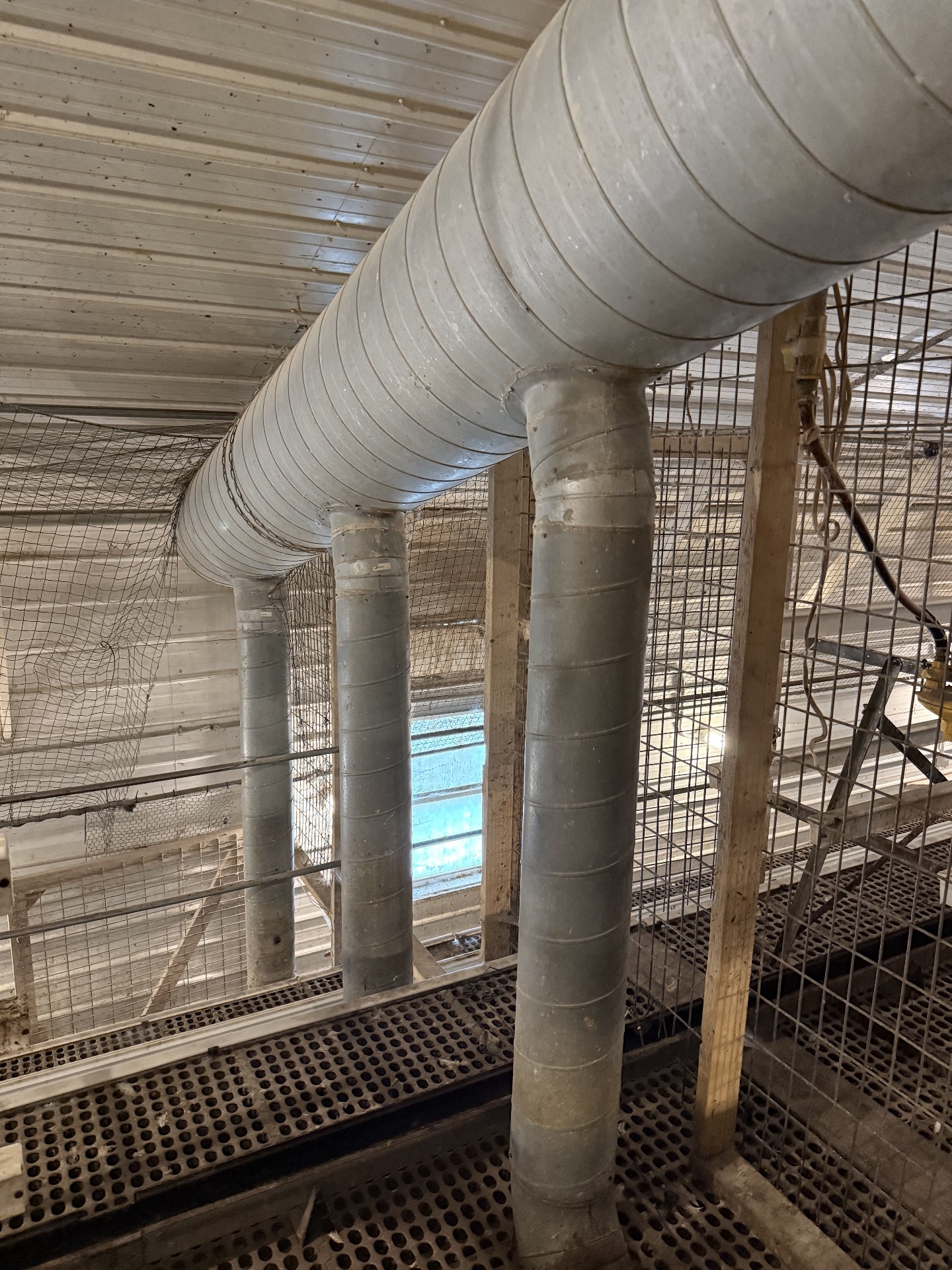 RED-L Aviary System photo 28