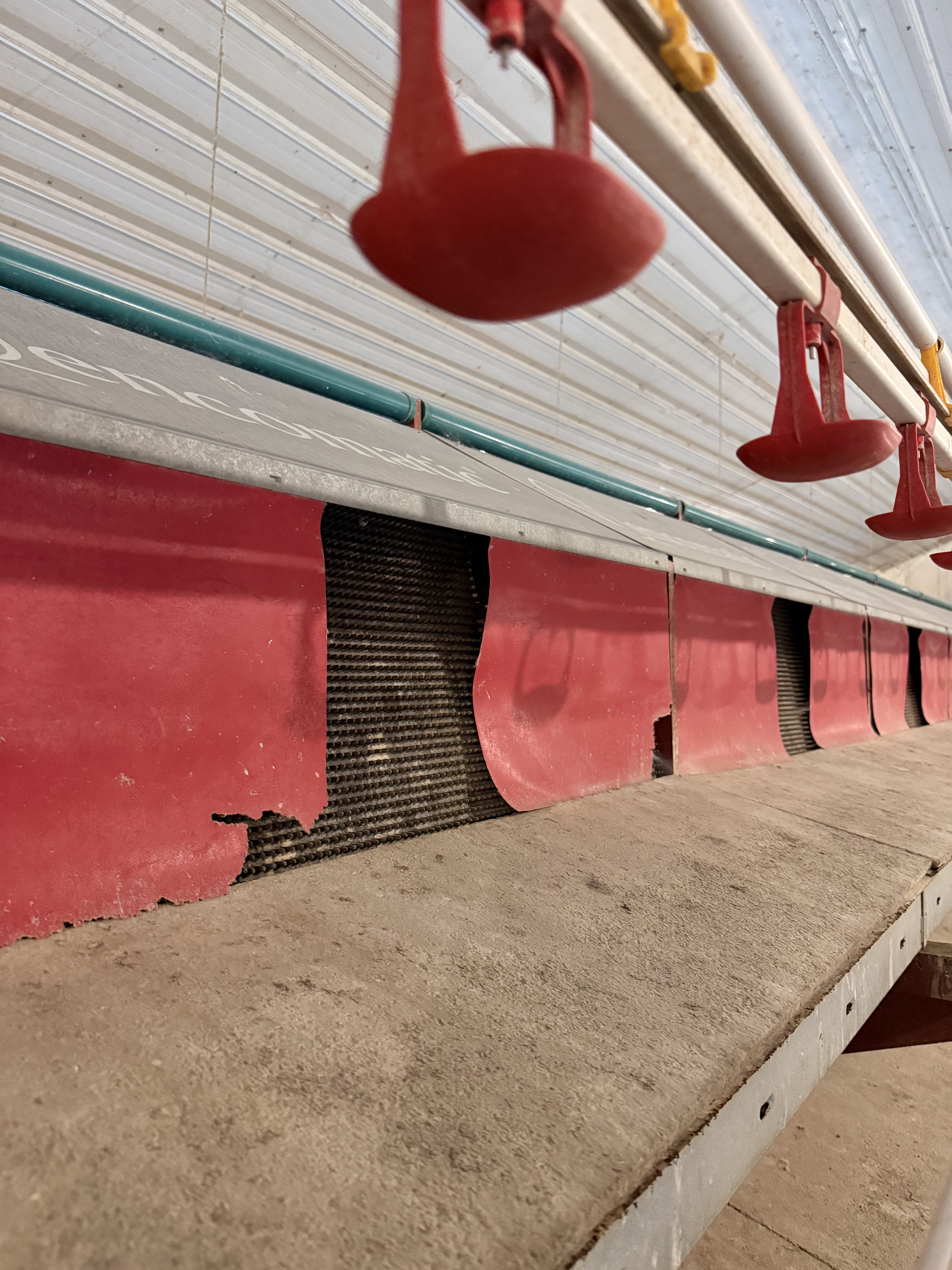 Nesting area in the RED-L Aviary System