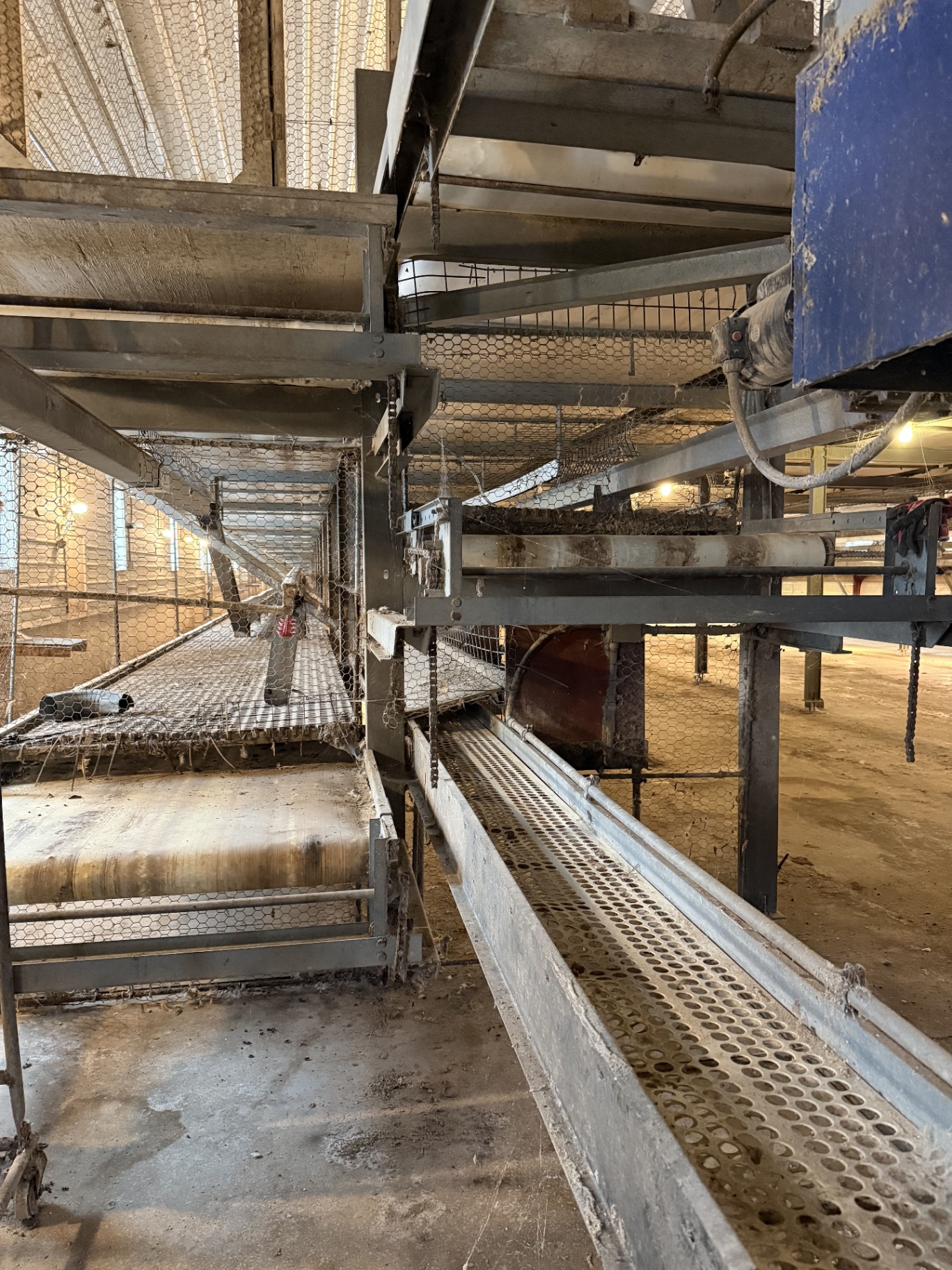 RED-L Aviary System photo 12