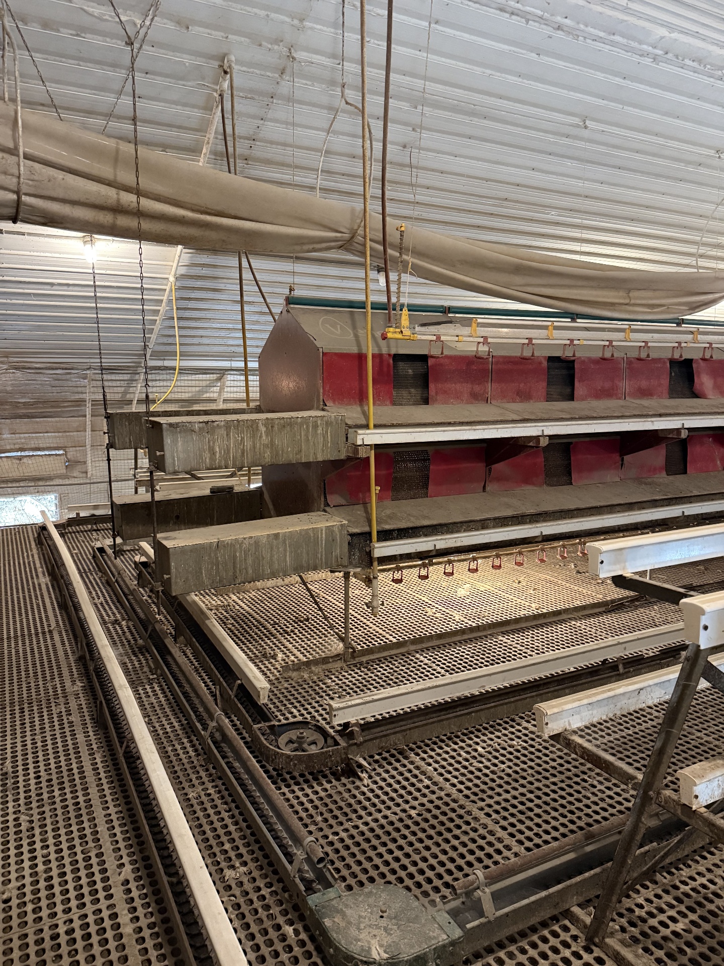 RED-L Aviary System photo 5