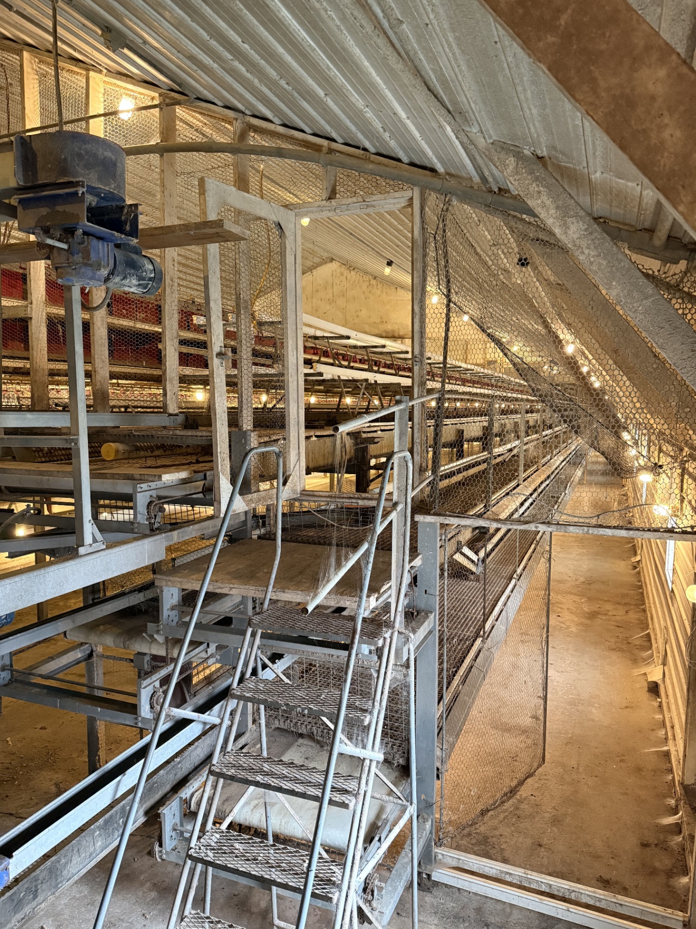 RED-L Aviary System photo 2