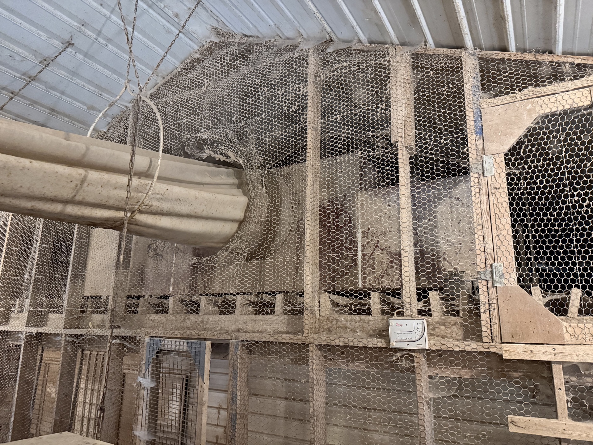 RED-L Aviary System photo 25